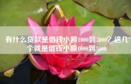 有什么贷款是借钱小额1000到3000？这几个就是借钱小额1000到3000