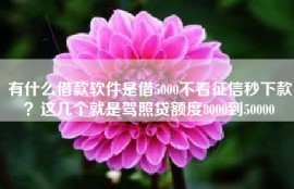 有什么借款软件是借5000不看征信秒下款？这几个就是驾照贷额度8000到50000