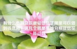 有什么小额贷款是征信乱了哪里可以借到钱急用？这几个就是蜜柚分期征信花能过吗