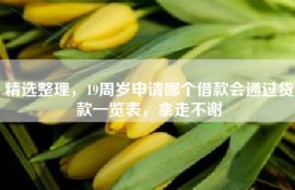 精选整理，19周岁申请哪个借款会通过贷款一览表，拿走不谢