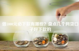 借1000元必下款有哪些？盘点几个网贷口子好下款的