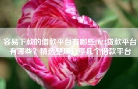 容易下款的借款平台有哪些2022贷款平台有哪些？精选整理分享几个借款平台