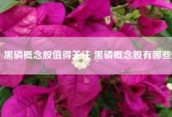 黑磷概念股值得关注 黑磷概念股有哪些