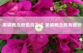 黑磷概念股值得关注 黑磷概念股有哪些