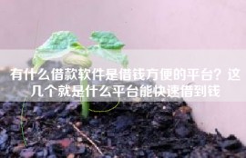 有什么借款软件是借钱方便的平台？这几个就是什么平台能快速借到钱