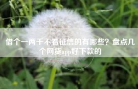 借个一两千不看征信的有哪些？盘点几个网贷app好下款的