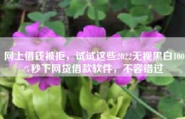 网上借钱被拒，试试这些2022无视黑白100%秒下网贷借款软件，不容错过