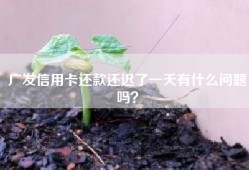广发信用卡还款还迟了一天有什么问题吗？