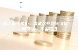 网上借钱被拒，试试这些网贷借款平台网贷app，不容错过