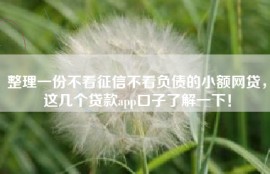 整理一份不看征信不看负债的小额网贷，这几个贷款app口子了解一下！