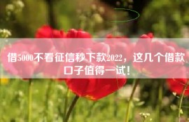 借5000不看征信秒下款2022，这几个借款口子值得一试！