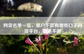 网贷名单一览，黑户下款有哪些口子网贷平台，拿走不谢