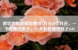 微信微粒贷假如我借1万分20个月还，一个月要还多少，一天利息是百分之0.05