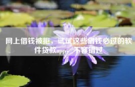 网上借钱被拒，试试这些借钱必过的软件贷款app，不容错过
