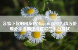 容易下款的网贷网贷app有哪些？精选整理分享逾期还能借款的平台贷款