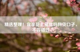 精选整理！宜享花上征信吗网贷口子，不容错过