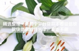 精选整理一份哪个平台贷款不看征信放款快借款软件名单，拿走不谢