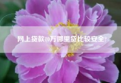 网上贷款10万哪里贷比较安全?