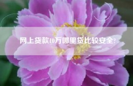 网上贷款10万哪里贷比较安全?