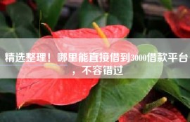 精选整理！哪里能直接借到3000借款平台，不容错过