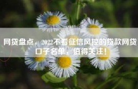 网贷盘点，2022不看征信风控的贷款网贷口子名单，值得关注！