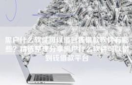 黑户什么软件可以借到钱借款软件有哪些？精选整理分享黑户什么软件可以借到钱借款平台