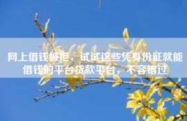 网上借钱被拒，试试这些凭身份证就能借钱的平台贷款平台，不容错过