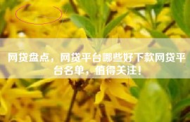 网贷盘点，网贷平台哪些好下款网贷平台名单，值得关注！