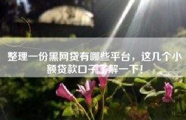 整理一份黑网贷有哪些平台，这几个小额贷款口子了解一下！