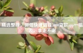 精选整理，微信快速借钱3000贷款app一览表，拿走不谢