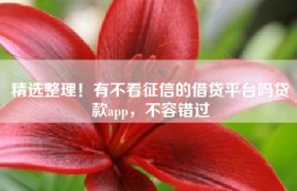 精选整理！有不看征信的借贷平台吗贷款app，不容错过
