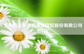 兰州的证东小额速额贷款股份有限公司怎样？