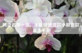 网贷名单一览，手机快速借款小额贷款，拿走不谢