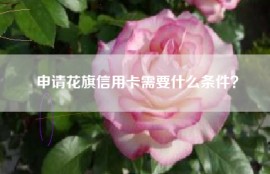 申请花旗信用卡需要什么条件？