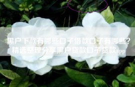 黑户下款有哪些口子借款口子有哪些？精选整理分享黑户贷款口子贷款app
