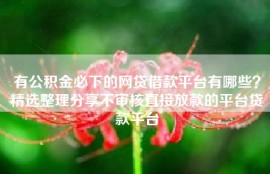 有公积金必下的网贷借款平台有哪些？精选整理分享不审核直接放款的平台贷款平台