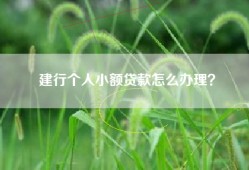 建行个人小额贷款怎么办理？
