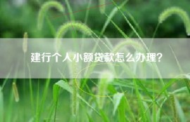 建行个人小额贷款怎么办理？
