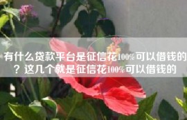有什么贷款平台是征信花100%可以借钱的？这几个就是征信花100%可以借钱的
