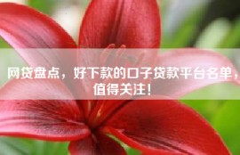 网贷盘点，好下款的口子贷款平台名单，值得关注！