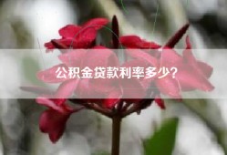 公积金贷款利率多少？