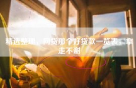 精选整理，网贷那个好贷款一览表，拿走不谢