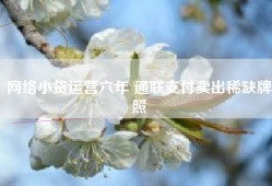 网络小贷运营六年 通联支付卖出稀缺牌照