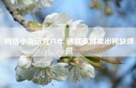 网络小贷运营六年 通联支付卖出稀缺牌照