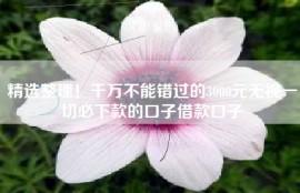 精选整理！千万不能错过的3000元无视一切必下款的口子借款口子