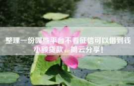 整理一份哪些平台不看征信可以借到钱小额贷款，简云分享！