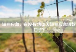 短期应急，有没有7至30天短期应急借款口子？