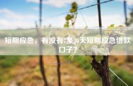 短期应急，有没有7至30天短期应急借款口子？