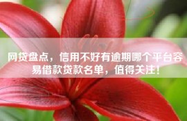 网贷盘点，信用不好有逾期哪个平台容易借款贷款名单，值得关注！