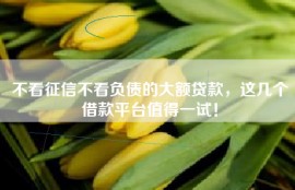 不看征信不看负债的大额贷款，这几个借款平台值得一试！